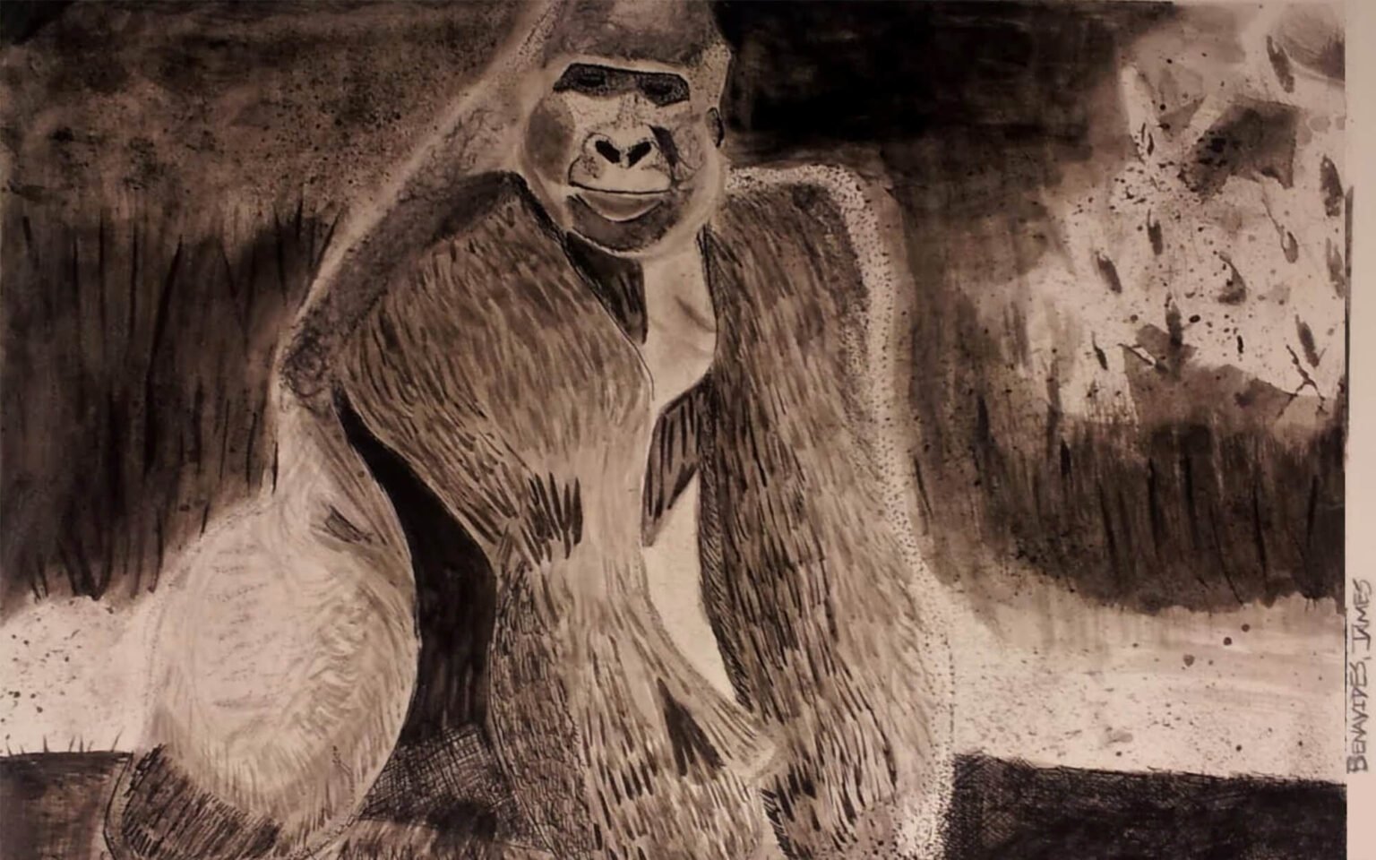 Pen and ink drawing of a gorilla by James Benavides